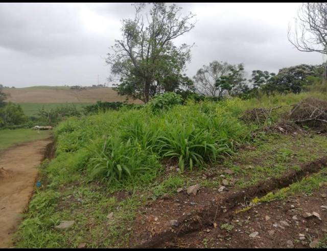 LAND FOR SALE IN UMZINTO